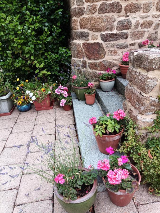 Villa La Cote Du Chat 3* En Bretagne Romantique Hédé Exteriör bild