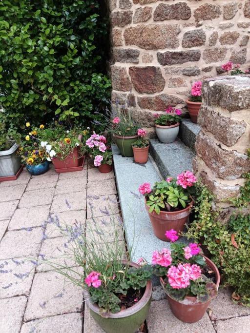Villa La Cote Du Chat 3* En Bretagne Romantique Hédé Exteriör bild